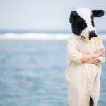 ブローするならストレートアイロン？