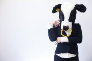 「春の抜け毛」その原因と対策