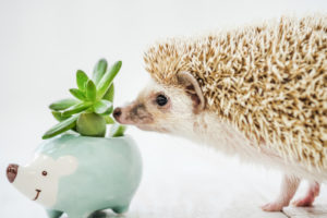 夏でも湯船につかって臭いケア