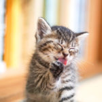 まずは自分の髪を知ることから