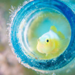 地肌トラブルが増えてます