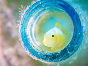 地肌トラブルが増えてます