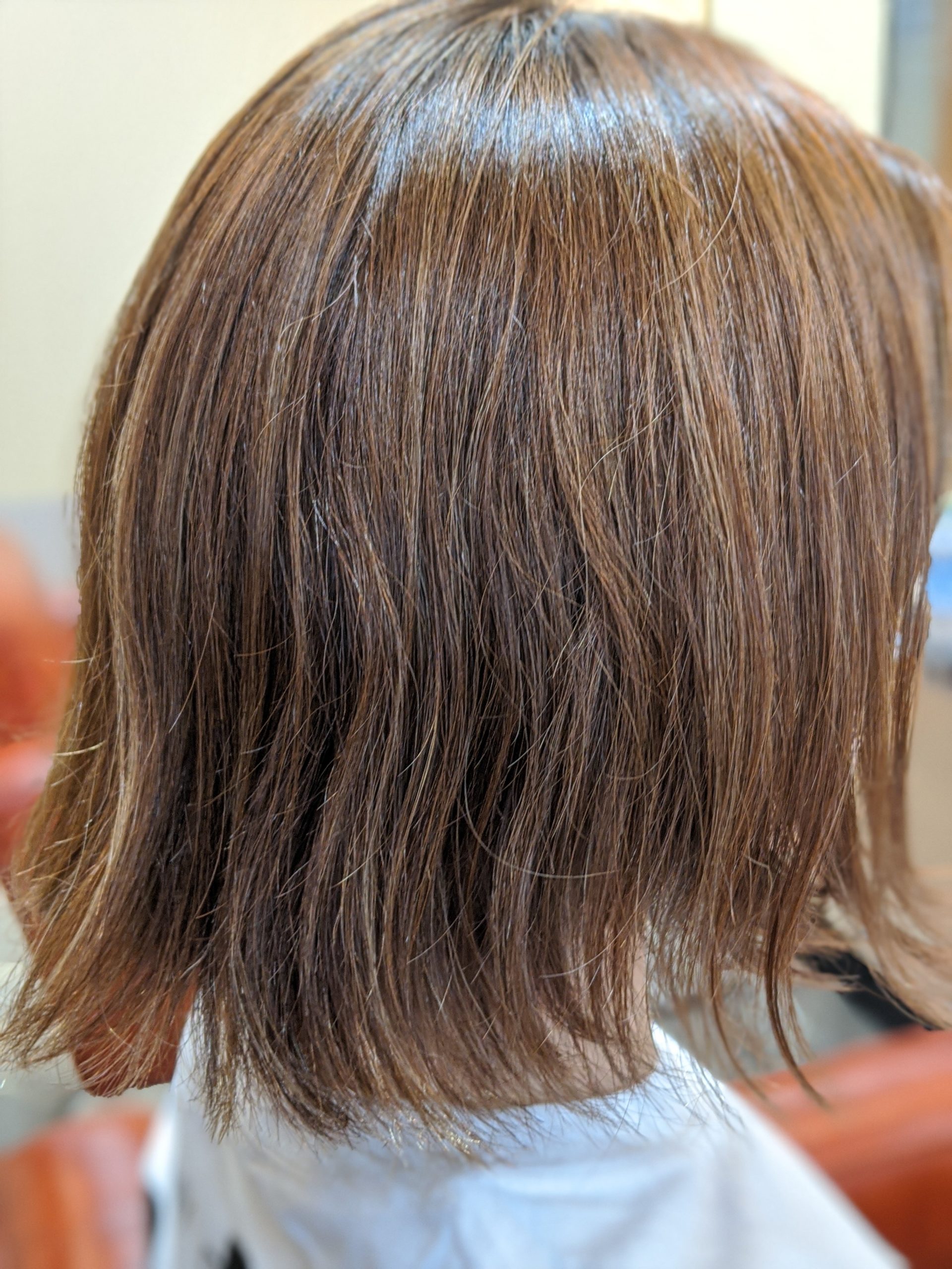 大人女性のツーブロックショートボブ SISIi HAIR