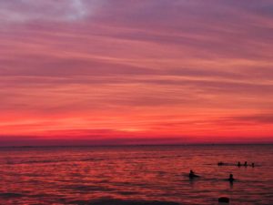 お店からのお知らせです。