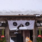 今年も宜しくお願い致します。