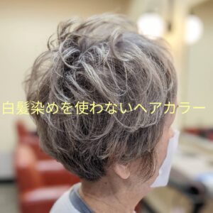 白髪染めじゃない白髪染め