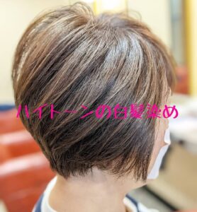 ハイトーンの白髪染め。