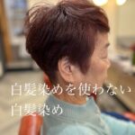 白髪染めを使わない白髪染め。